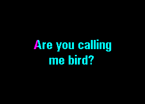 Are you calling

me bird?