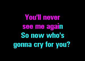 You'll never
see me again

So now who's
gonna cry for you?
