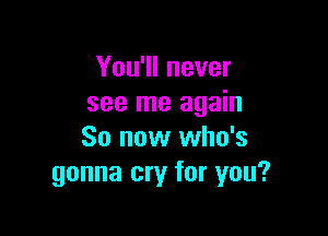 You'll never
see me again

So now who's
gonna cry for you?