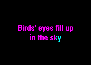 Birds' eyes fill up

in the sky