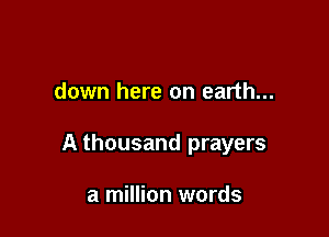 down here on earth...

A thousand prayers

a million words