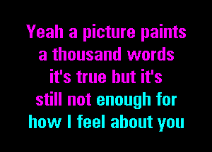 Yeah a picture paints
a thousand words
ifsnuehuthk
still not enough for

how I feel about you I