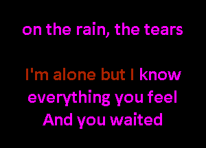 on the rain, the tears

I'm alone but I know
everything you feel
And you waited