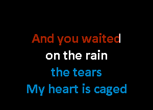And you waited

on the rain
the tears
My heart is caged
