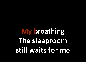 My breathing
The sleeproom
still waits for me