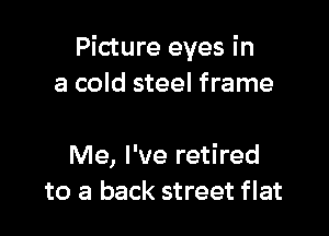 Picture eyes in
a cold steel frame

Me, I've retired
to a back street flat