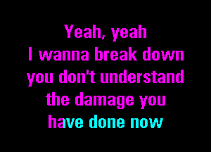 Yeah, yeah
I wanna break down

you don't understand
the damage you
have done now