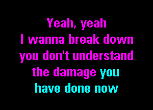 Yeah, yeah
I wanna break down

you don't understand
the damage you
have done now