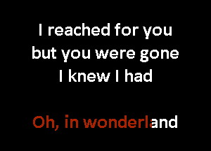 I reached for you
but you were gone

I knew I had

Oh, in wonderland