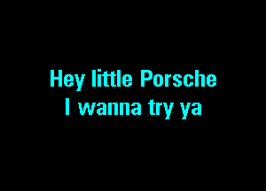 Hey little Porsche

I wanna try ya