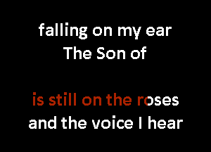 falling on my ear
The Son of

is still on the roses
and the voice I hear