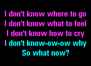 I don't know where to go
I don't know what to feel
I don't know how to cry
I don't know-ow-ow why
So what now?