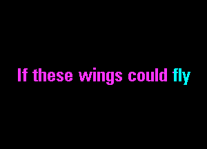 If these wings could fly