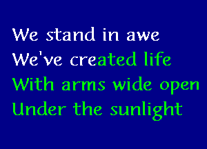We stand in awe
We've created life
With arms wide open

Under the sunlight