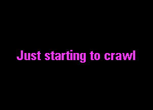 Just starting to crawl