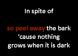 In spite of

so peel away the bark
'cause nothing
grows when it is dark