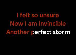 I felt so unsure
Now I am invincible

Another perfect storm