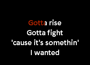 Gotta rise

Gotta fight
'cause it's somethin'
I wanted