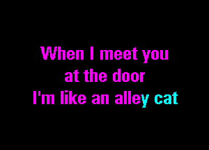 When I meet you

at the door
I'm like an alley cat