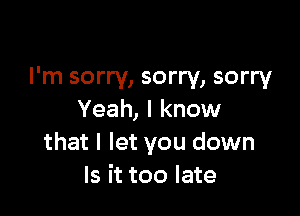 I'm sorry, sorry, sorry

Yeah, I know
that I let you down
Is it too late