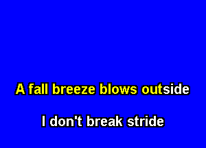 A fall breeze blows outside

I don't break stride
