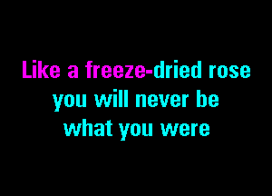Like a freeze-dried rose

you will never be
what you were