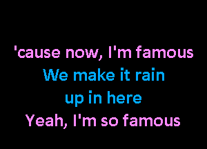 'cause now, I'm famous

We make it rain
up in here
Yeah, I'm so famous