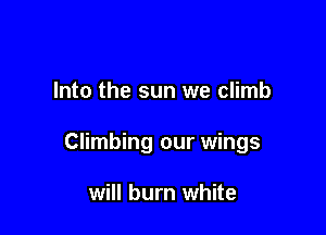 Into the sun we climb

Climbing our wings

will burn white
