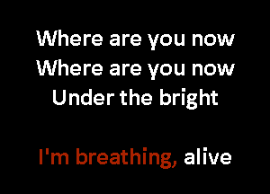 Where are you now
Where are you now
Under the bright

I'm breathing, alive