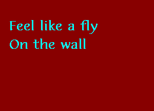 Feel like a fly
On the wall