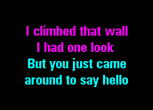 I climbed that wall
I had one look

But you just came
around to say hello