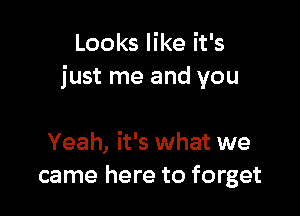 Looks like it's
just me and you

Yeah, it's what we
came here to forget