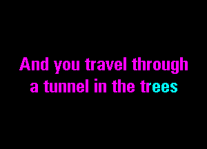 And you travel through

a tunnel in the trees