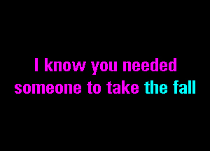 I know you needed

someone to take the fall