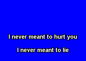 I never meant to hurt you

I never meant to lie