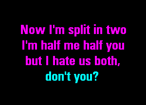 Now I'm split in two
I'm half me half you

but I hate us both.
don't you?