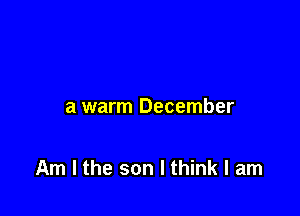 a warm December

Am I the son I think I am