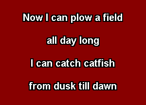 Now I can plow a field

all day long
I can catch catfish

from dusk till dawn