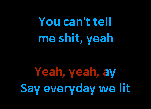 You can't tell
me shit, yeah

Yeah,yeah,ay
Say everyday we lit