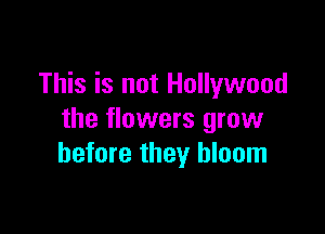 This is not Hollywood

the flowers grow
before they bloom