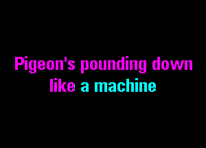Pigeon's pounding down

like a machine