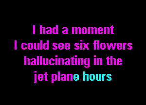 I had a moment
I could see six flowers

hallucinating in the
jet plane hours