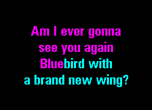 Am I ever gonna
see you again

Bluebird with
a brand new wing?