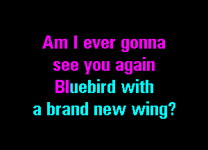 Am I ever gonna
see you again

Bluebird with
a brand new wing?