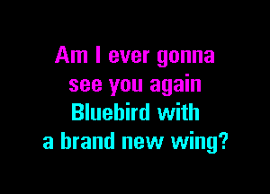Am I ever gonna
see you again

Bluebird with
a brand new wing?