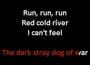 Run, run, run
Red cold river
I can't feel

The dark stray dog of war