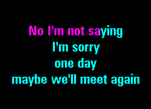 No I'm not saying
I'm sorry

one day
maybe we'll meet again