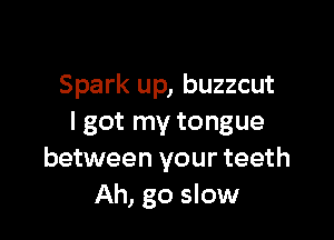 Spark up, buzzcut

I got my tongue
between your teeth
Ah, go slow