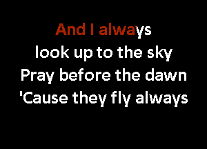 And I always
look up to the sky

Pray before the dawn
'Cause they fly always