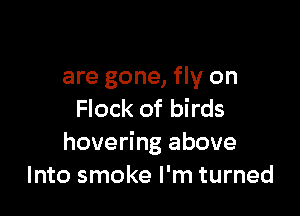 are gone, fly on

Flock of birds
hovering above
Into smoke I'm turned